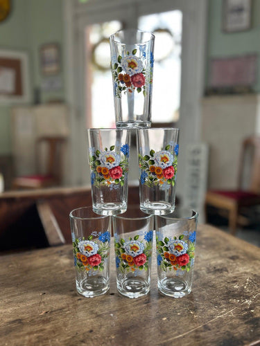 SALE- Rosehip Drinking Glasses (Set of 6)